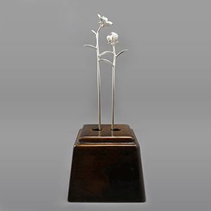 桔梗（ききょう）