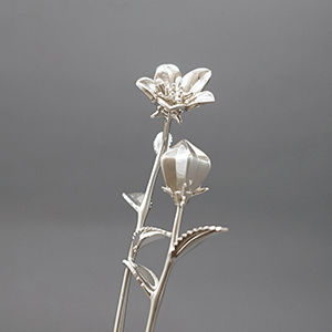 桔梗（ききょう）